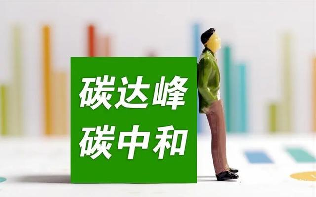 中國(guó)“雙碳”目標(biāo)下如何平衡發(fā)展與減排？